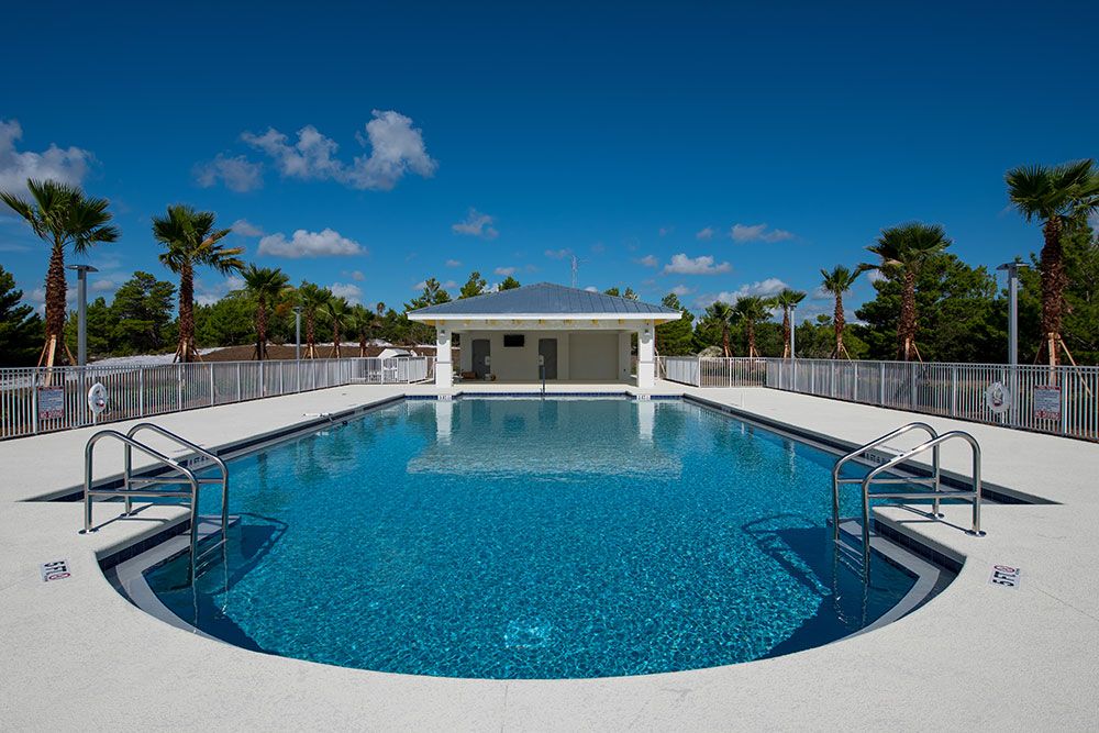 A tranquil outdoor swimming pool under a clear blue sky with surrounding palm trees.