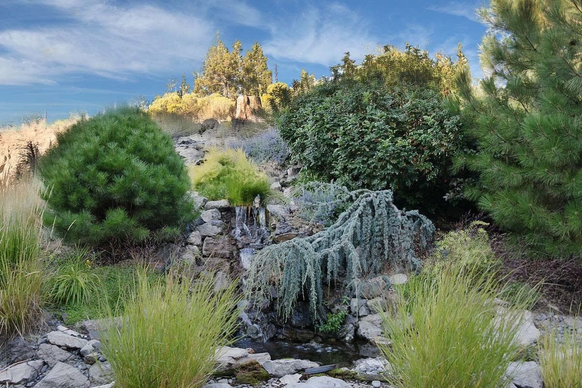A serene garden landscape with lush greenery, shrubs, and grasses under a clear blue sky.