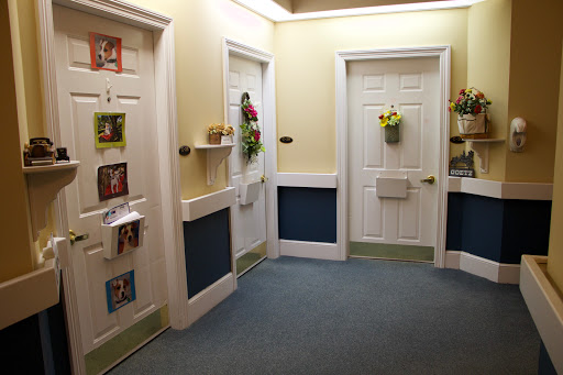 A well-lit hallway featuring multiple doors, decorated with plants and framed pictures.