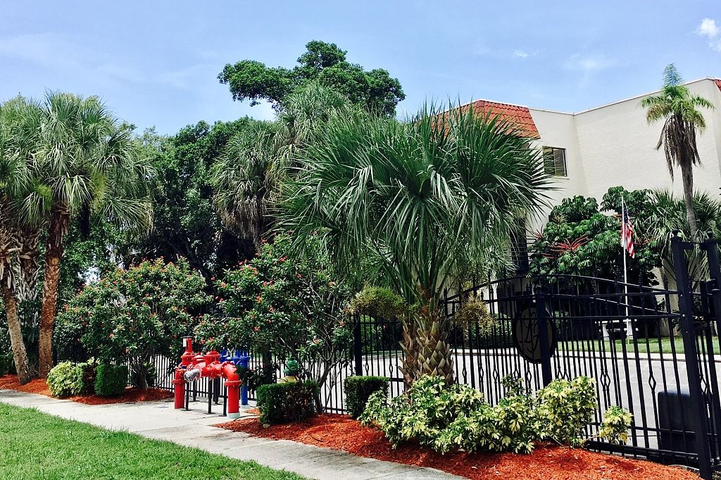 A pleasant outdoor scene featuring lush palm trees and well-maintained landscaping along a sidewalk.