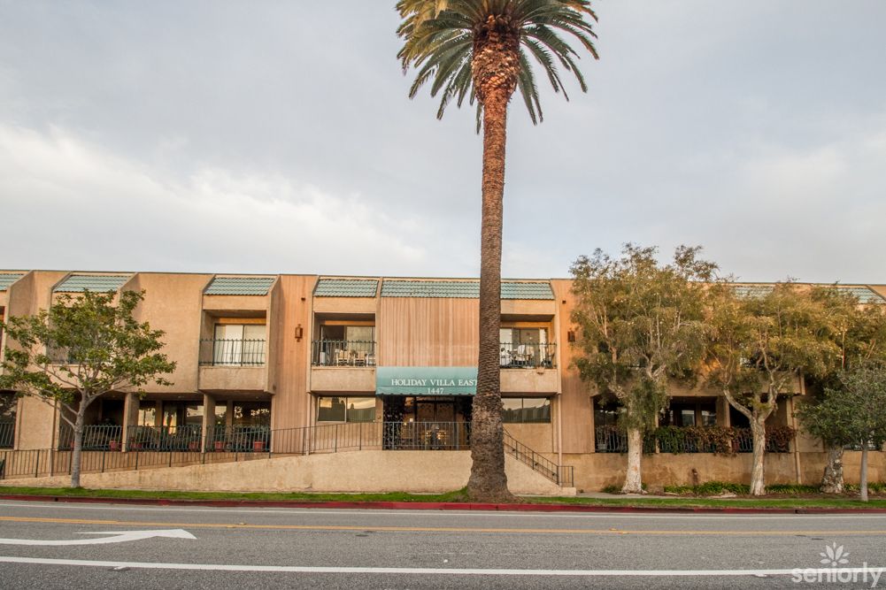 A commercial building with a palm tree in front, located along a street.