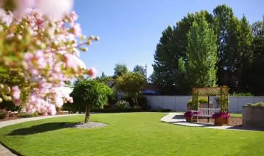 A serene garden with a well-maintained lawn and surrounding trees on a sunny day.