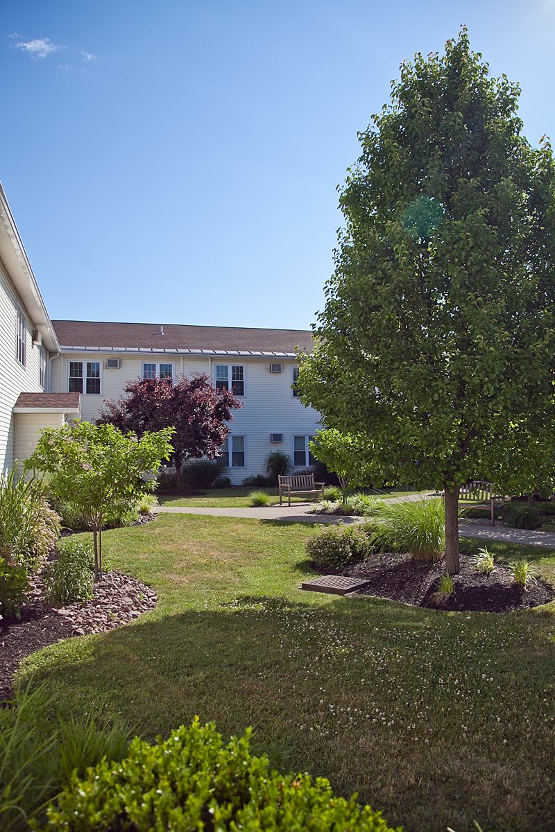 A landscaped garden area with trees and bushes in front of a building.