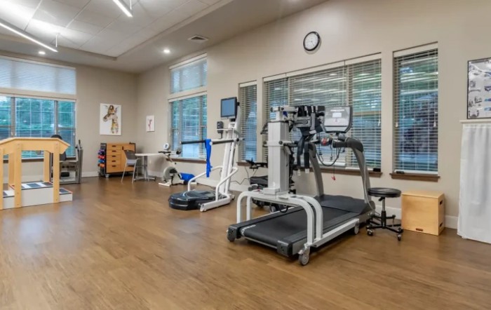 A gym with rehabilitation exercise equipment and treadmills.