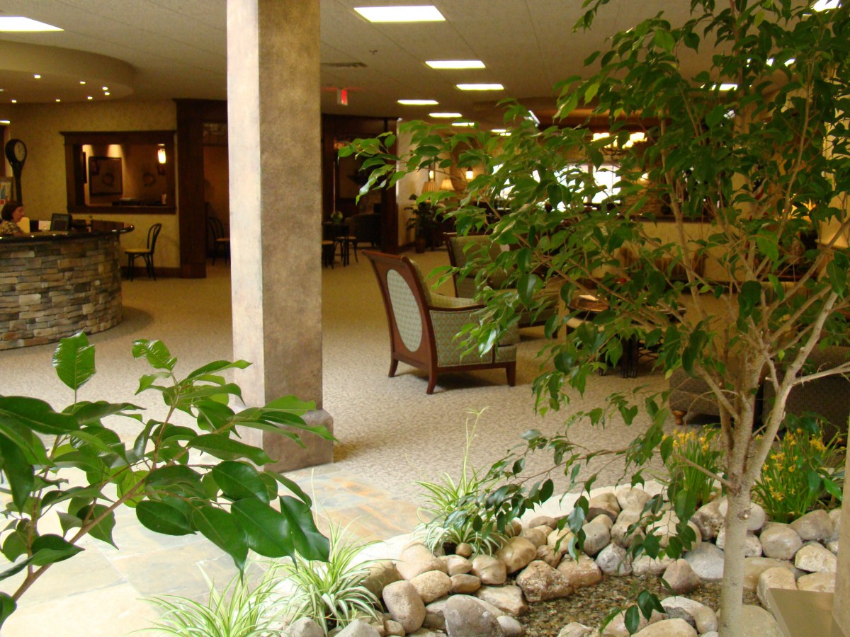 A tranquil indoor space featuring lush plants and a comfortable seating area.