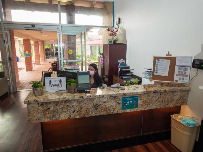 A reception desk in an office lobby with a receptionist working on a computer, surrounded by plants and office supplies.