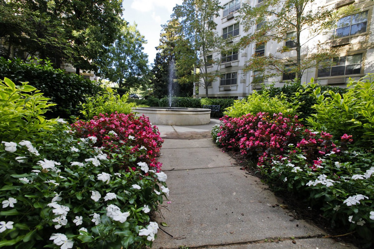 A scenic garden pathway lined with colorful flowers leads to a fountain, with a building in the background.