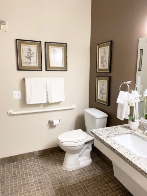 A neatly arranged bathroom with a toilet, sink, and decorative elements.