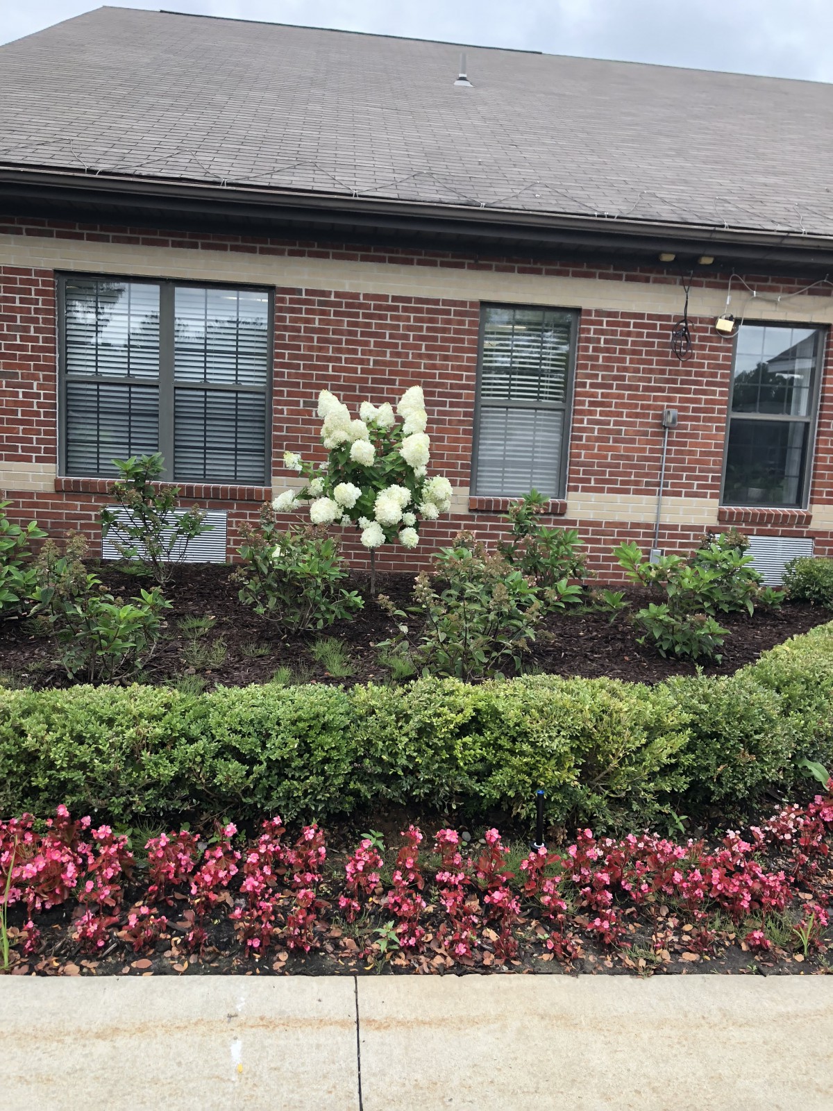 A landscaped garden in front of a brick building with vibrant flowers and greenery.