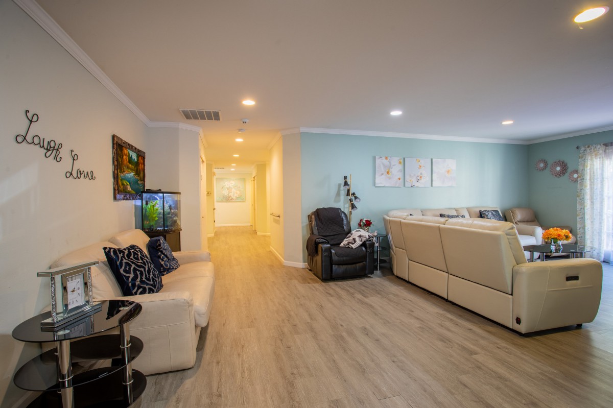 A modern living room with comfortable seating, wood flooring, and stylish decor.