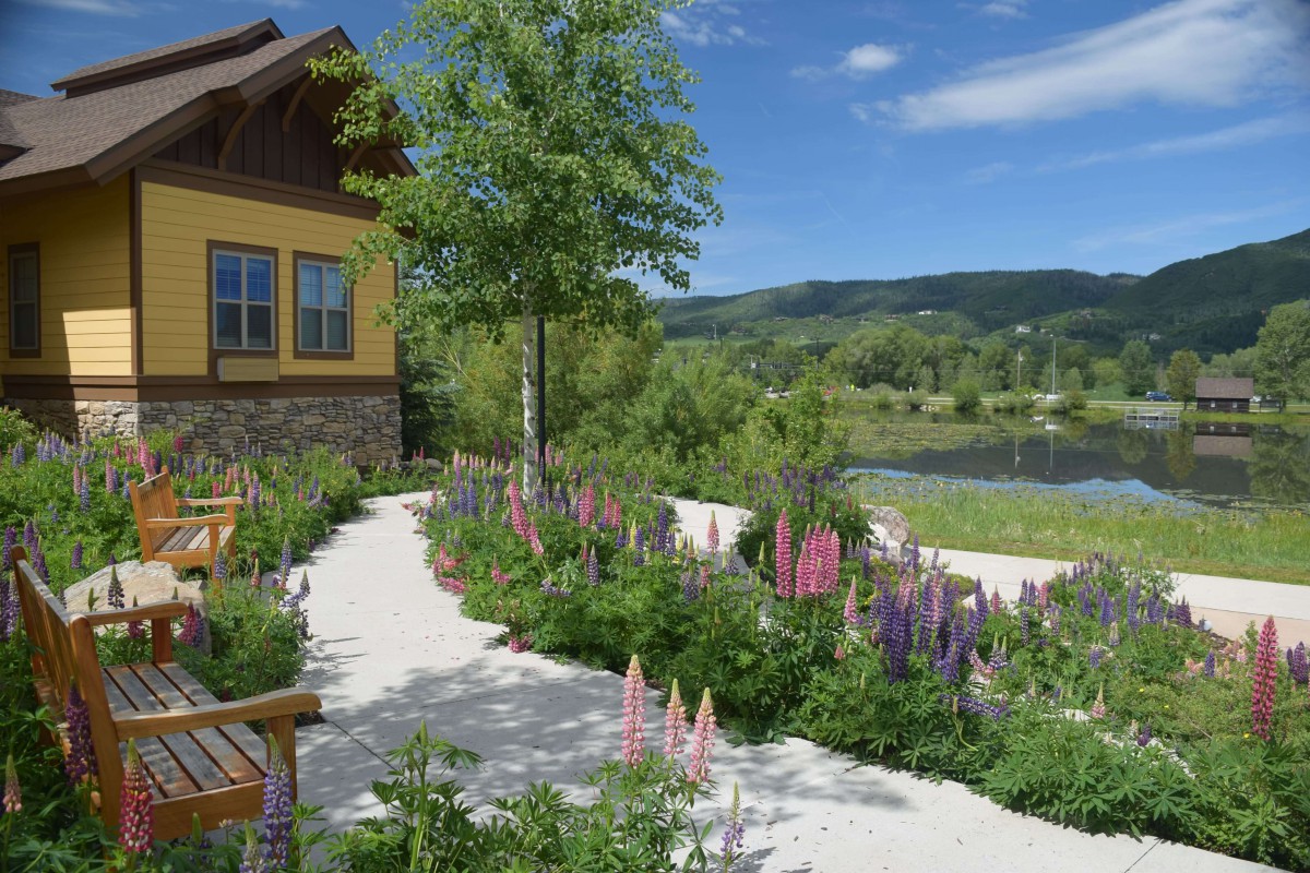 A peaceful garden with a winding pathway, surrounded by colorful flowers and trees, located next to a serene pond and a house.