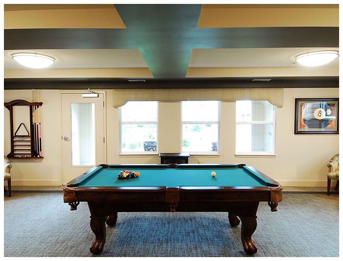 A well-lit recreation room featuring a classic pool table ready for a game.