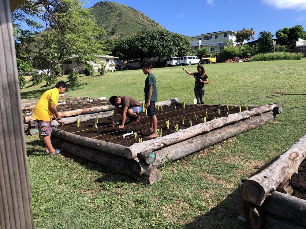 A group of people working together on a gardening project outdoors.