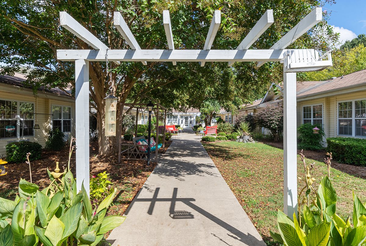 A sunny garden pathway with a white pergola and lush greenery.