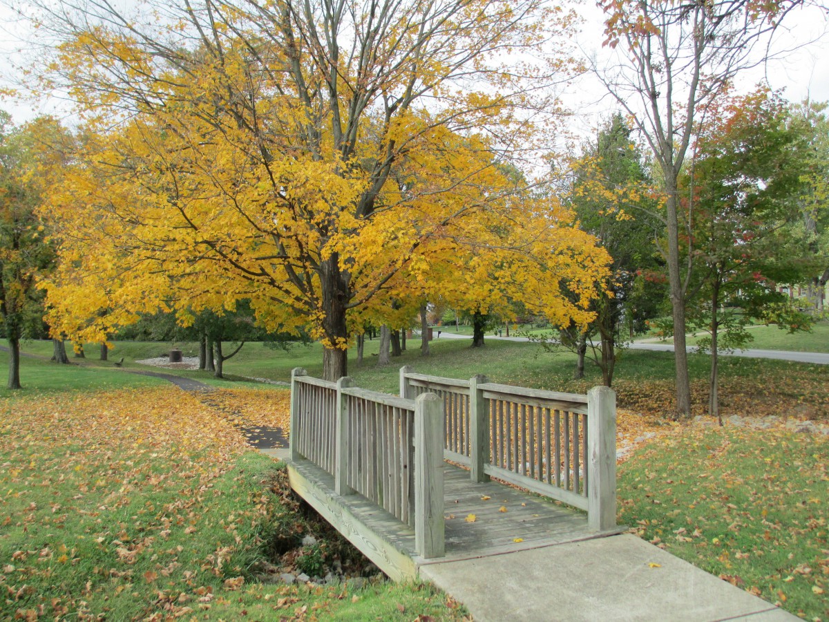 Hoskinson House At Wesley Manor
