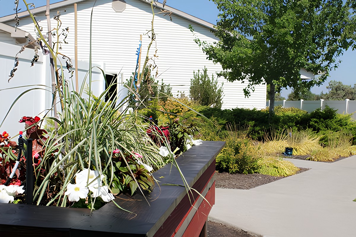 A vibrant garden with a variety of plants and flowers in an outdoor setting.