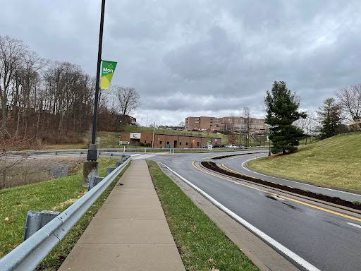 A winding road with a sidewalk and greenery under a cloudy sky.