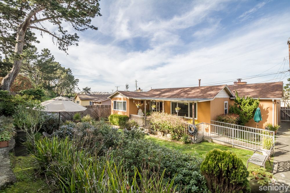 A charming house surrounded by a lush garden under a blue sky.