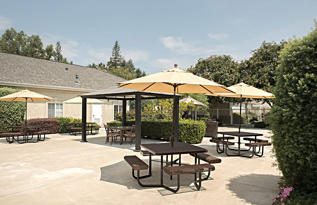 A sunny outdoor patio area with multiple picnic tables and yellow umbrellas.