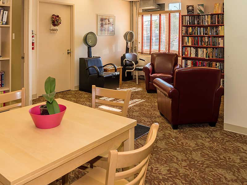 A cozy living room with seating, a bookshelf, and a table with a potted plant.