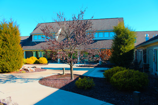 A beautifully landscaped house with a serene pathway and a blossoming tree.