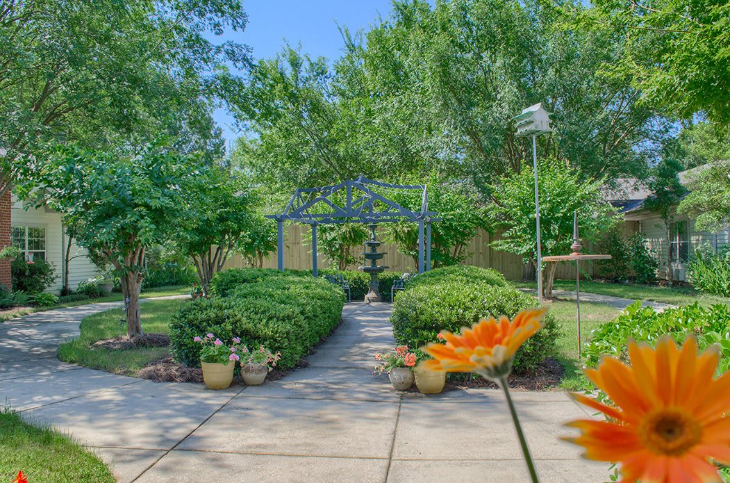 Beautiful garden with a paved pathway surrounded by lush greenery and vibrant flowers.