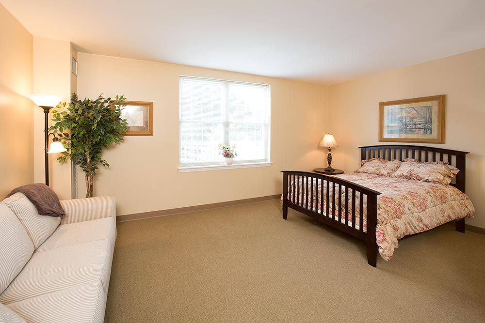 A cozy bedroom with a large bed, sofa, indoor plant, and a window letting in natural light.