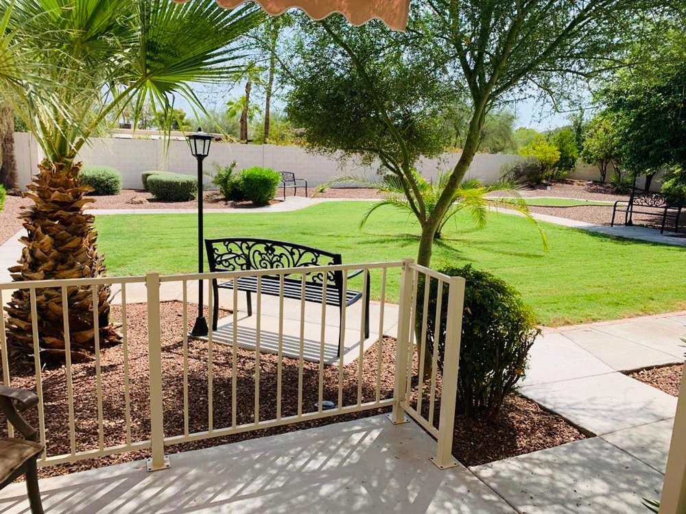 A serene garden view with a bench and pathway, surrounded by grass and palm trees.