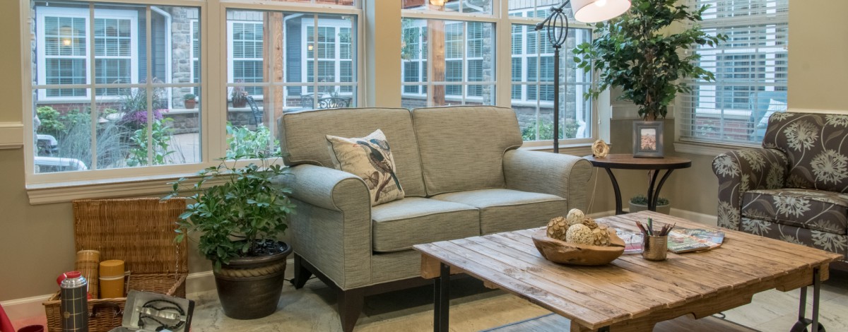 A cozy living room with a comfortable sofa, decorative cushion, and indoor plants by the window.