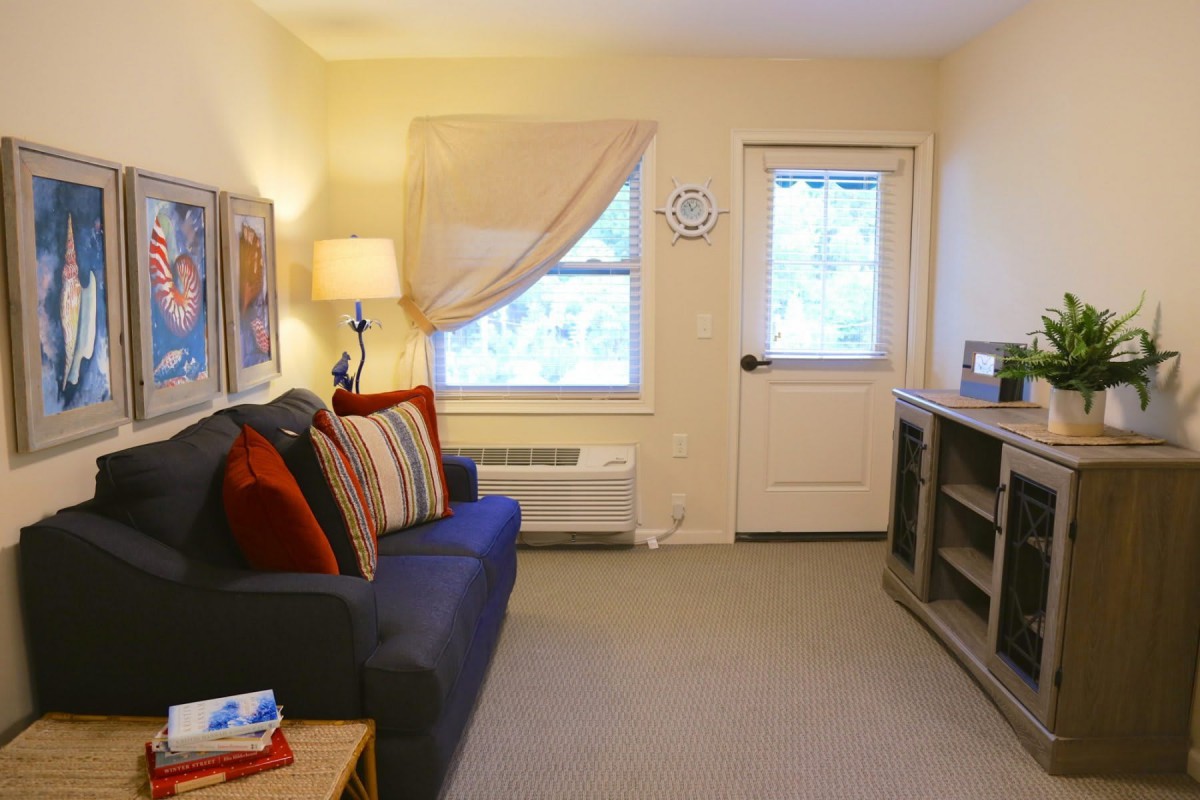 A cozy living room with a sofa, side lamp, and window light.