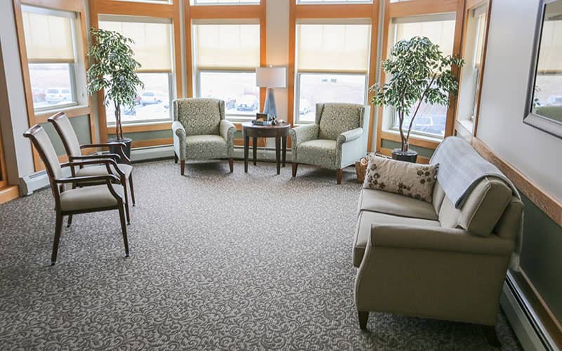 A cozy living room with armchairs and indoor plants by large windows.