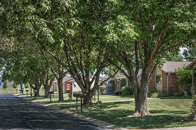 A peaceful suburban street lined with trees and houses.
