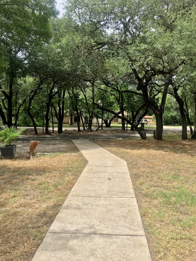 A serene pathway winding through a lush, tree-filled park.