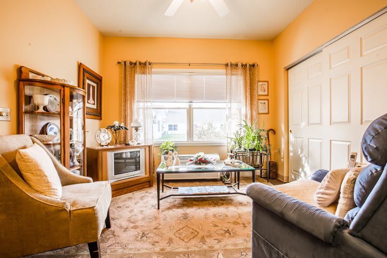 A cozy living room with warm, inviting decor and natural light.