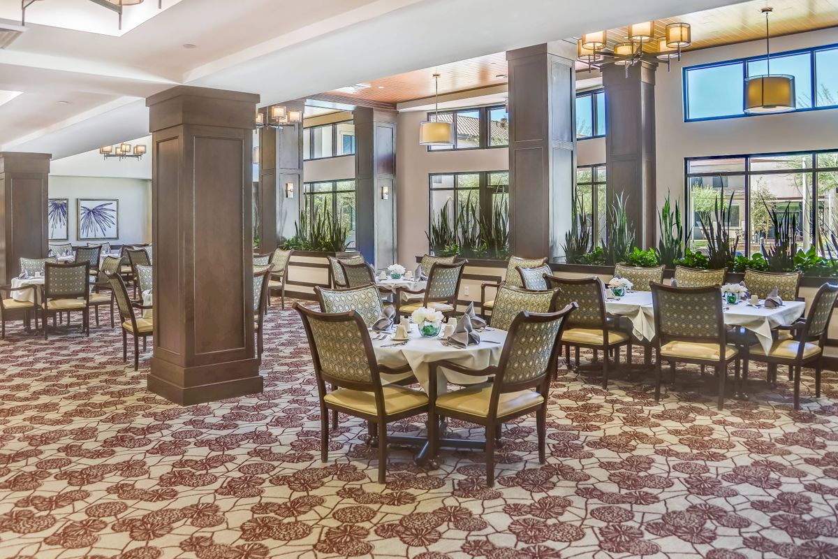 A well-lit restaurant interior with neatly arranged tables and chairs, complemented by large windows and decorative plants.