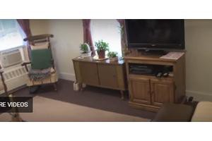 A cozy living room with a television, cabinet, and potted plants by the window.