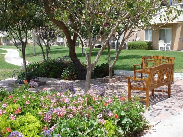 A peaceful garden scene with a wooden bench, surrounded by colorful flowers and trees.