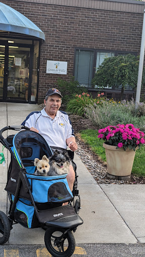 A person relaxing outdoors with two dogs in a stroller, surrounded by beautiful flowers.