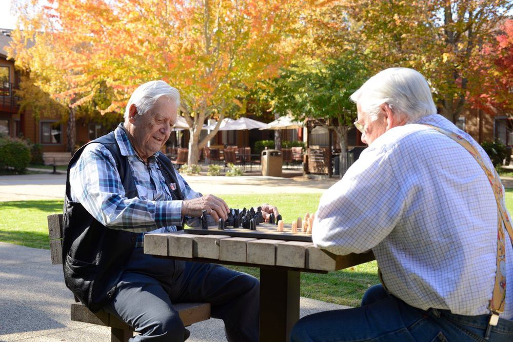 Two elderly men enjoying a game of chess in a park during autumn.