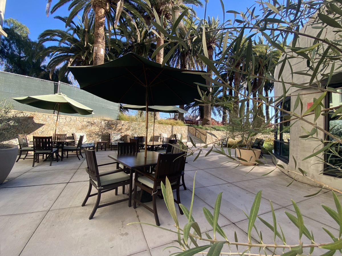An outdoor patio area with tables and chairs under large umbrellas, surrounded by palm trees on a sunny day.
