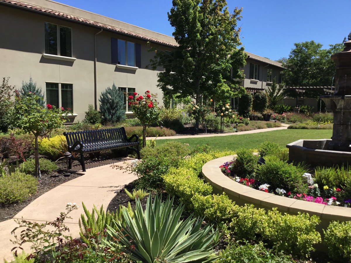 A beautifully landscaped garden with a winding pathway, lush plants, and a bench for relaxation.