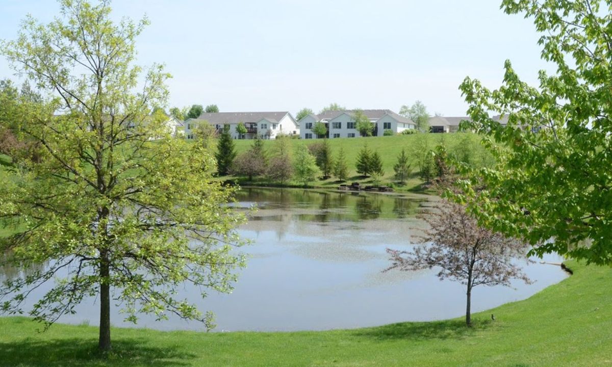 The Fountains