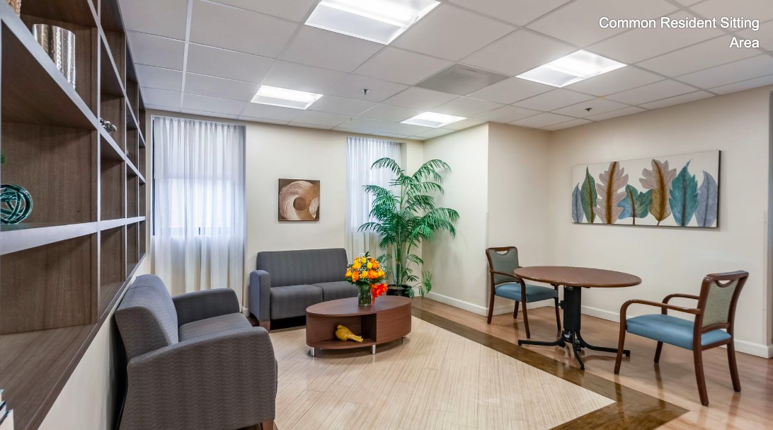 A modern office waiting room with comfortable seating and decorative plants.