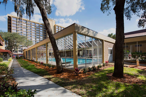 A sunny day at a residential swimming pool surrounded by lush greenery.