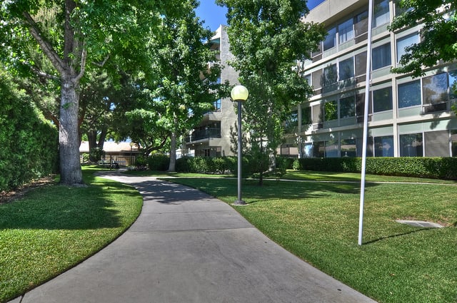 A serene walkway lined with trees and surrounded by buildings.