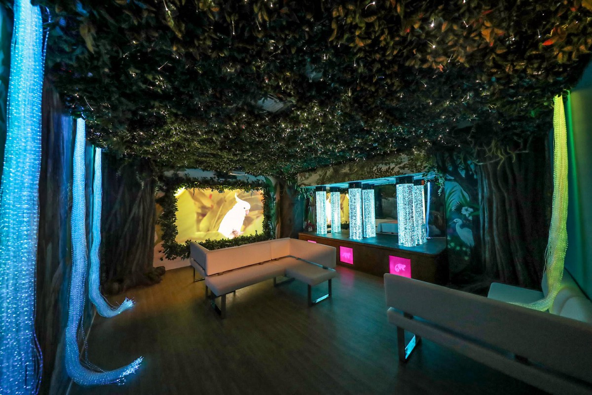 A modern, immersive room with a forest theme, featuring interactive displays and cozy seating.