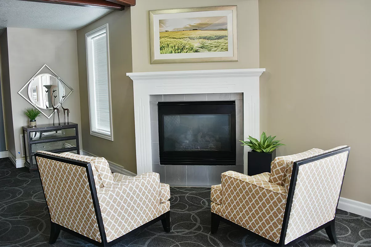 A modern living room with a fireplace and two patterned chairs.