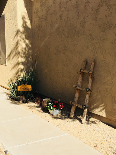 A rustic decorative corner featuring a small wooden ladder and blooming flowers against a sunlit wall.