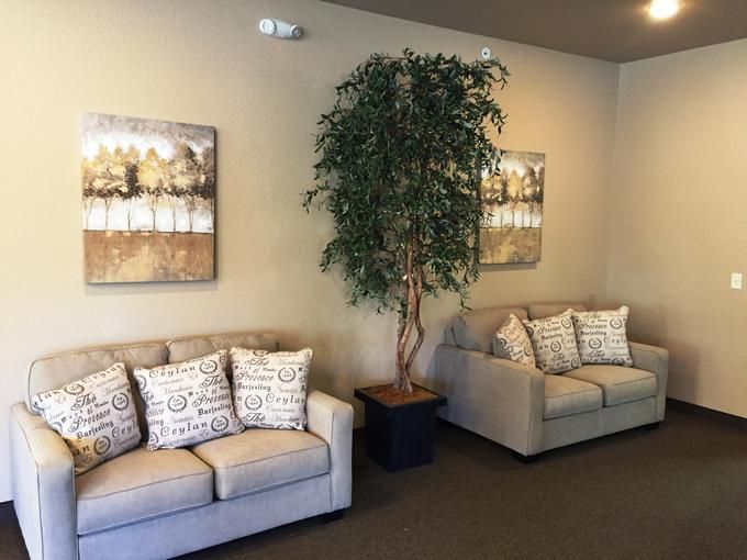 A cozy living room with two sofas, decorative cushions, an indoor plant, and wall art.