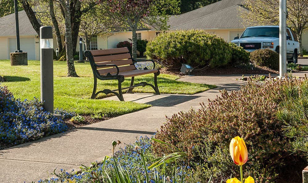 A peaceful neighborhood scene with a bench by the sidewalk, surrounded by greenery and bright sunlight.